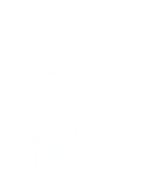 Digital magnetic surveys