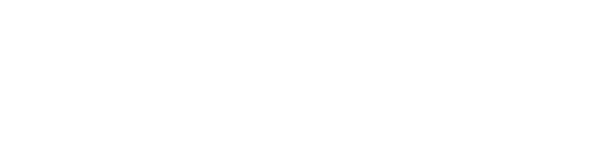 TruCore Core Orientation - Veracio