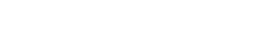 MinaLogger